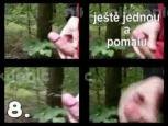 12 vystriku